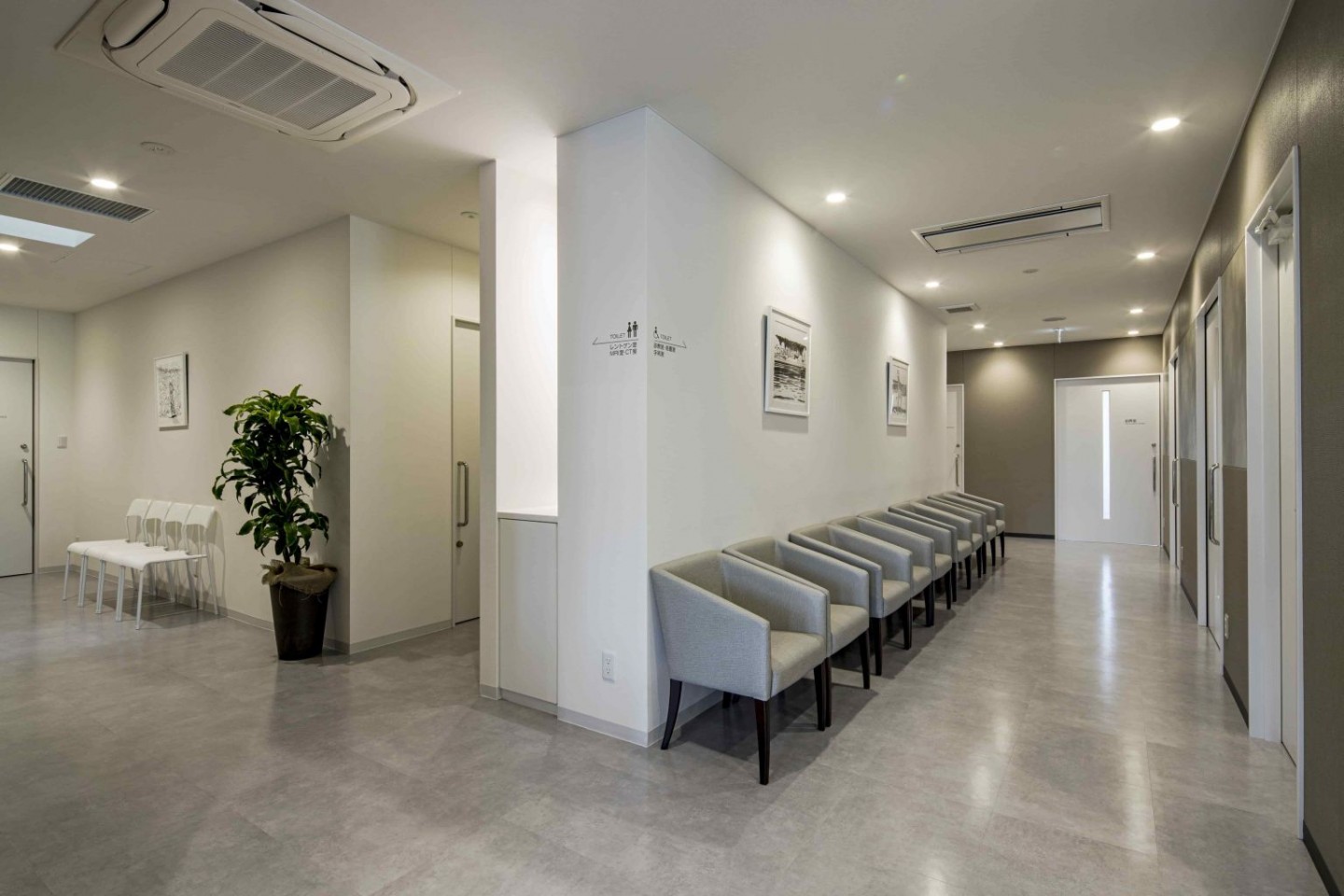 中京スパインクリニック